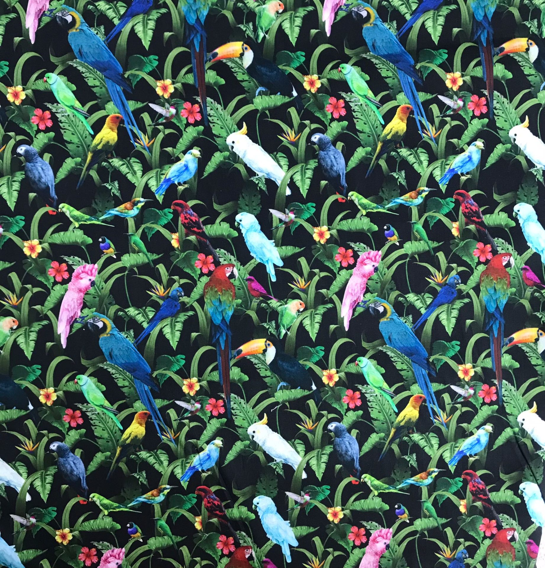Coton Imprime Oiseaux