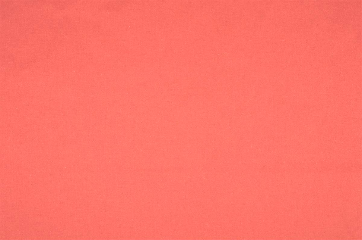 COTON – UNI 150 cm de large — vue 17