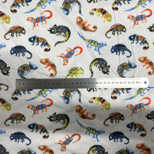 Jersey Digital Coton – Les Caméléons — vue 2